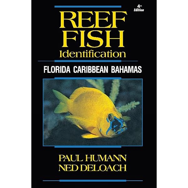 Fishes of the Great Barrier Reef and Coral Sea, Revised and